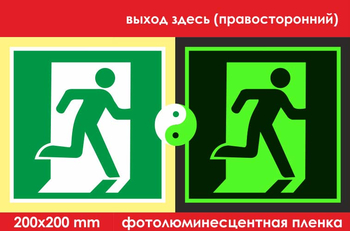 E01-02 выход здесь (правосторонний) (ГОСТ 34428-2018, фотолюминесцентная пленка, 200х200 мм) - Знаки безопасности - Фотолюминесцентные знаки - . Магазин Znakstend.ru